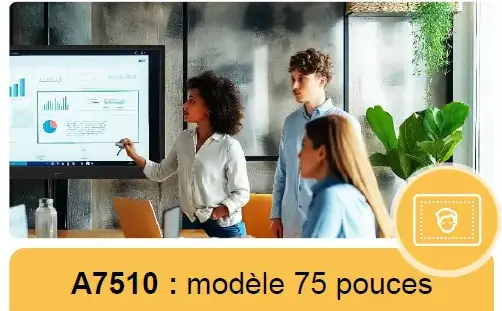 RICOH ecran 75 pouces